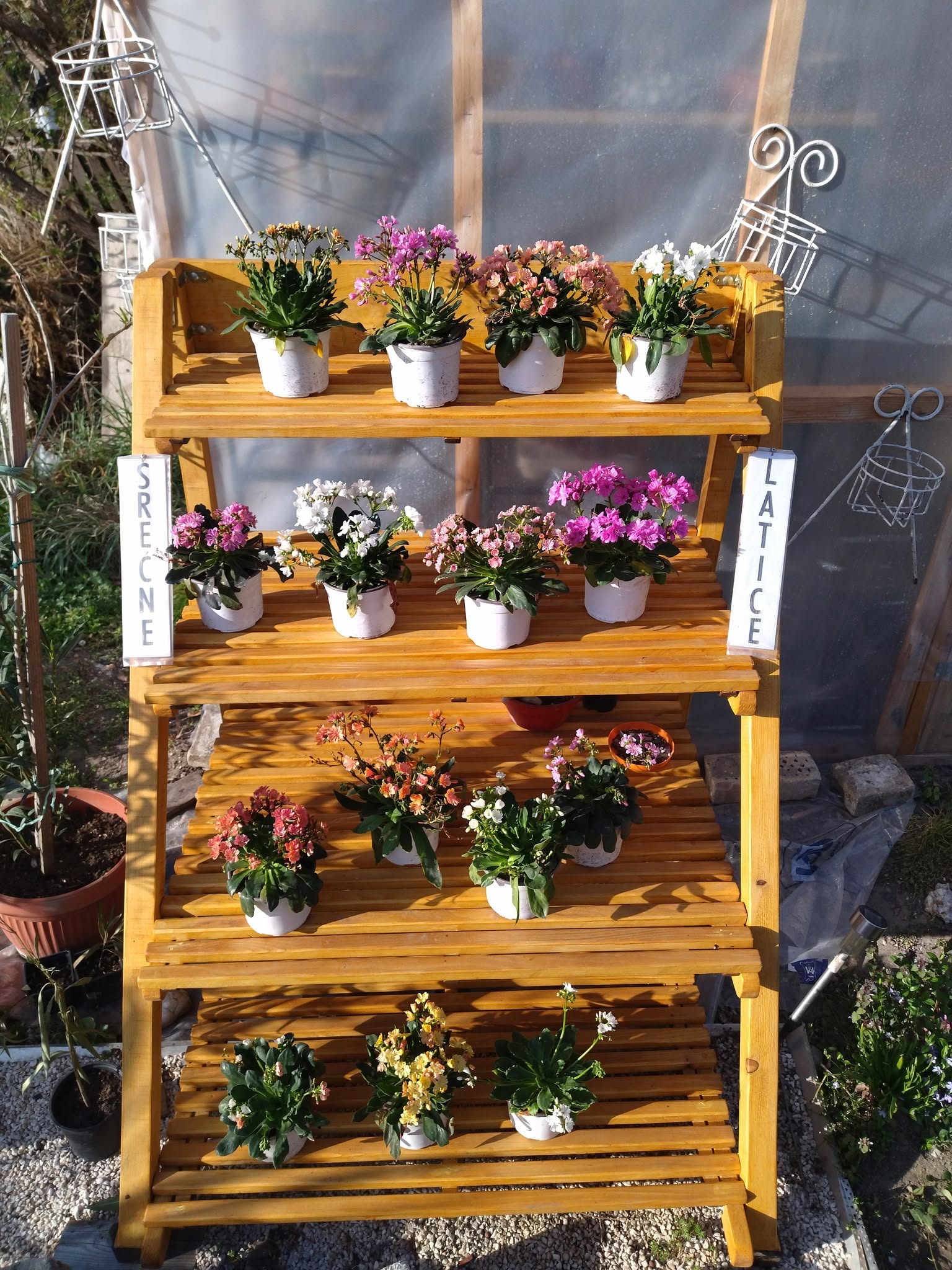 Srecne Latice florist shop display